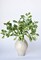 21.5" Faux Real Touch Variegated Green Pittosporum Spray Stem